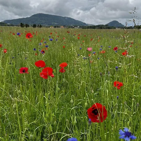 Gaestehaus Im Gruenen Allerheiligen bei Wildon